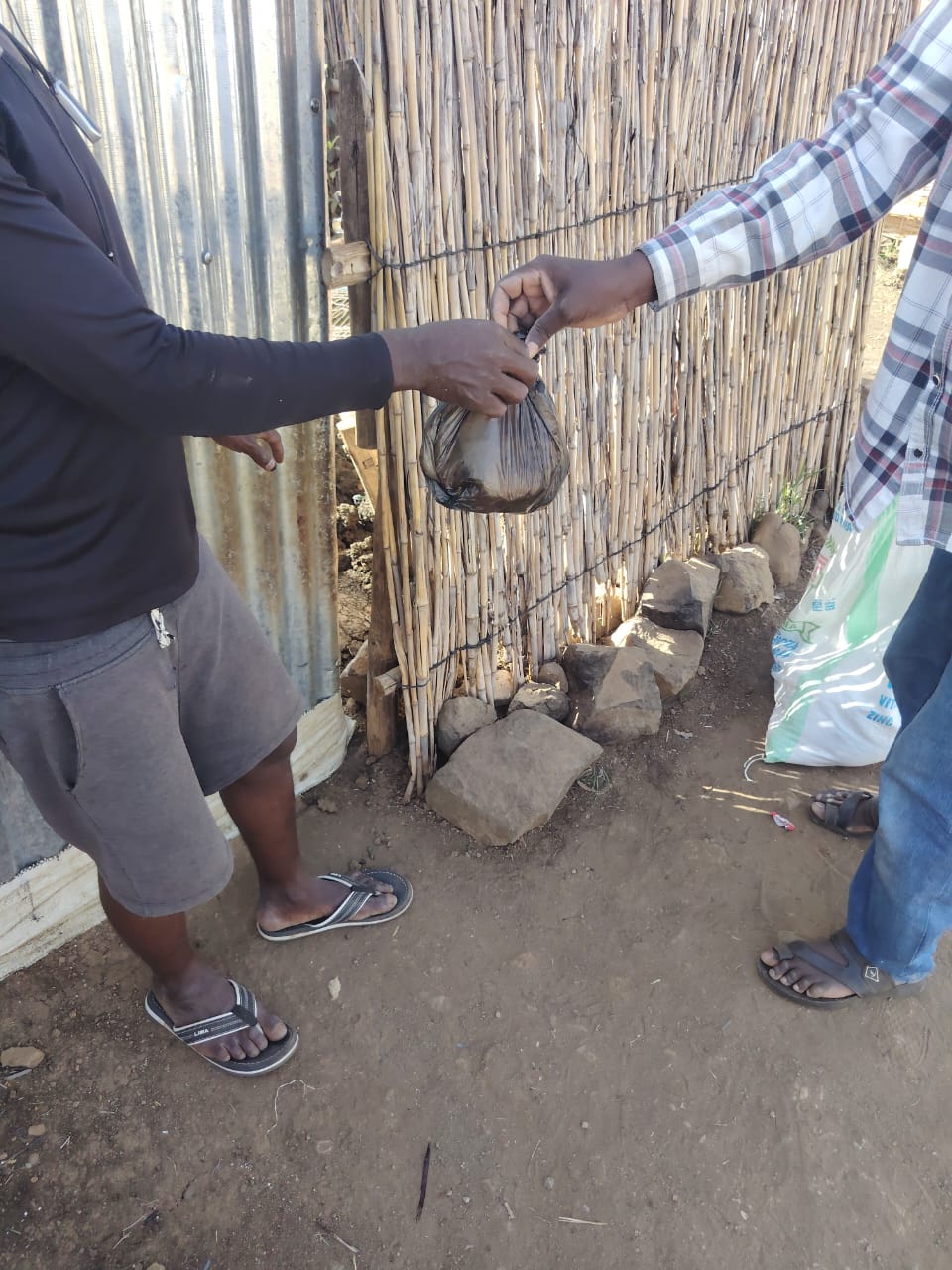 Meal Distribution — Aftit Camp